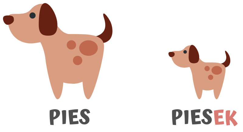 Polish grammar polish grammar